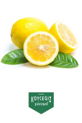 Kb Köyceğiz Yöresel Köyceğiz Limonu 1 KG - Kb Köyceğiz Yöresel