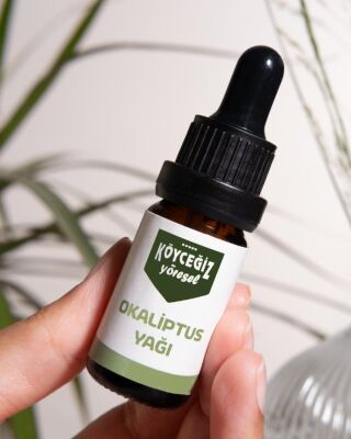 Kb Köyceğiz Yöresel Okaliptüs Yağı 10 ML - 3